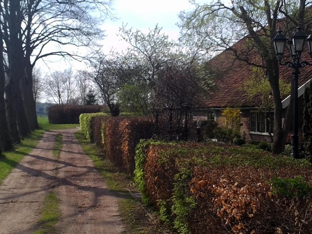 Bed & Breakfast Uiterburen Zuidbroek Exterior foto